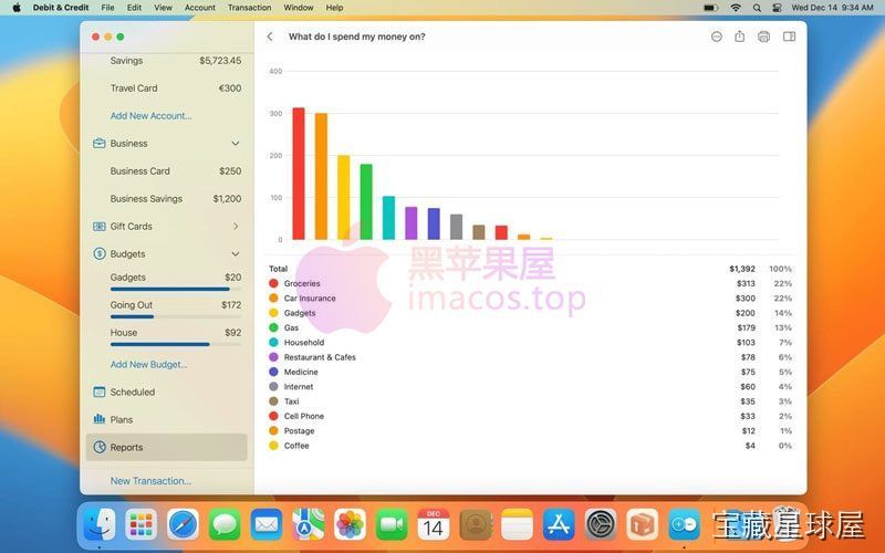 Debit & Credit Premium 软件截图