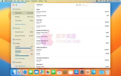 Debit & Credit Premium 7.7.2 个人财务管理工具，以精美界面管理账户预算与共享账单-山海之花 - 宝藏星球屋