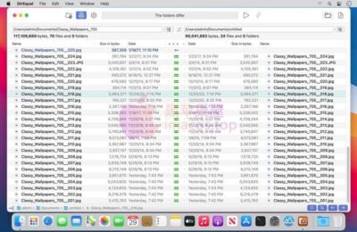 DirEqual 7.6.4 Mac 文件夹对比工具，树形视图直观查找文件差异并执行双向文件夹同步-山海之花 - 宝藏星球屋