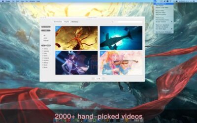 Dynamic Wallpaper 25.4 动态壁纸引擎,海量 4K 视频壁纸与动态屏保一键设置-山海之花 - 宝藏星球屋
