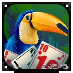 《热带岛屿音乐神秘纸牌》一款手绘卡通风格的纸牌冒险游戏，在被诅咒而沉寂的岛上以经典接龙揭开音乐谜团。每关独特牌局，穿插找物、迷你谜题和音乐线索，收藏家版含额外关卡与收藏品-山海之花 - 宝藏星球屋