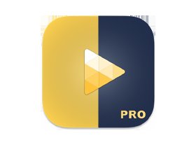 OmniPlayer Pro v2.1.21 全能视频音频播放器，支持投屏录屏与在线字幕搜索-山海之花 - 宝藏星球屋