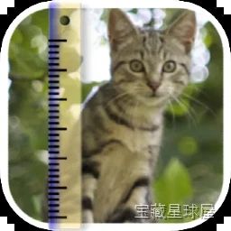 SizeMyPics 1.8.1 批量图像处理工具，一次完成多张照片的缩放转换与压缩-山海之花 - 宝藏星球屋