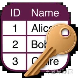 MDB ACCDB Viewer 数据库查看工具，快速阅读 Access 文件并安全导出数据-山海之花 - 宝藏星球屋