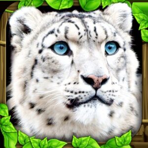 《Snow Leopard Simulator》v1.2 手机完整版！在开放式雪山地图中扮演雪豹，管理生存状态并应对掠食者威胁的野生动物模拟游戏-山海之花 - 宝藏星球屋