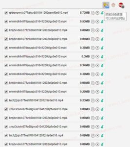 猫抓 v2.7.1 网页媒体嗅探扩展-山海之花 - 宝藏星球屋