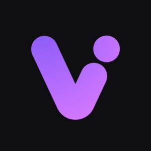 ViiTor 实时翻译：高识别率语音转文字与同声传译工具-山海之花 - 宝藏星球屋