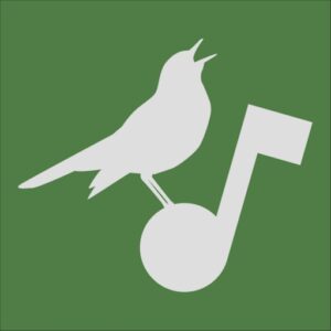 Aves 相册：浏览与管理图片视频的安卓开源相册工具-山海之花 - 宝藏星球屋
