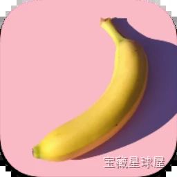 BananaBin 文件清理与存储管理工具，扫描分类释放 Mac 磁盘空间-山海之花 - 宝藏星球屋
