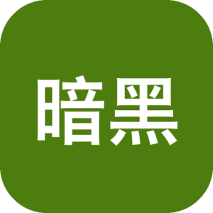 《暗黑之城》一款暗黑哥特画风的悬疑解谜冒险游戏，在恐惧与秘密交织的都市中揭开尘封真相。玩家扮演女英雄调查儿童失踪案，收集线索破解机关谜题，对抗渗透全城的秘密社团，在压抑氛围中体验一场关于权力与救赎的深刻故事-山海之花 - 宝藏星球屋