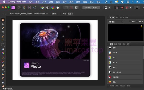 Affinity Photo 2.3.0 Mac中文Mac激活版 软件下载-山海之花 - 宝藏星球屋