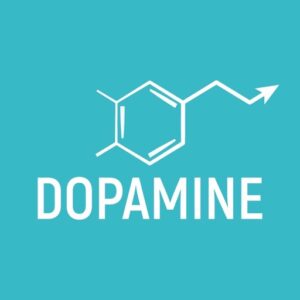 Dopamine 音乐播放器 v3.0.8：本地音频管理与无损播放工具-山海之花 - 宝藏星球屋