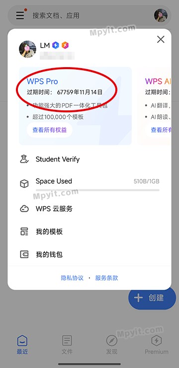 WPS Office 国际版 软件截图1