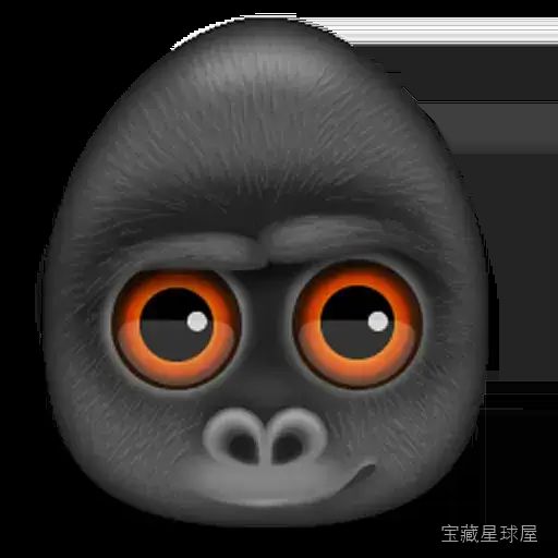 Debookee 8.2.0 Mac激活版/ 网络分析与监控的终极工具 软件下载-山海之花 - 宝藏星球屋