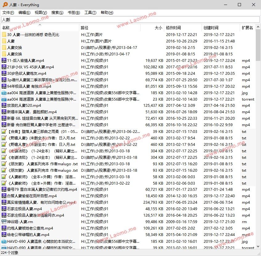 Everything 1.5.0.1407a 中文免安装 软件截图2