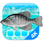 Aquarium 4K 1.1.0 Mac激活版 4K高清屏幕保护工具 软件下载-山海之花 - 宝藏星球屋