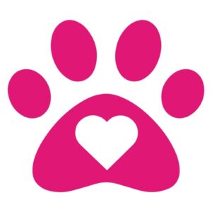 PawPal 桌面宠物：在屏幕上陪你工作的小狗提醒工具-山海之花 - 宝藏星球屋