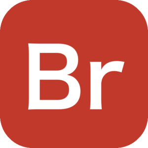 Brave 1.93.138 绿色版：注重隐私与速度的跨平台浏览器-山海之花 - 宝藏星球屋