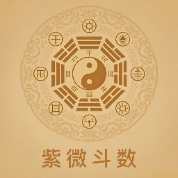 紫微斗数八字排盘1.3高级版