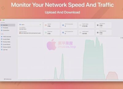 NetWorker Pro 10.4.1 中文版-菜单栏网速时实监控工具 软件下载-山海之花 - 宝藏星球屋