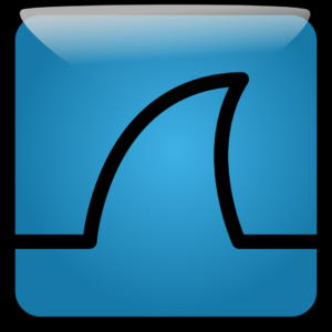 Wireshark 网络抓包工具：协议分析与网络故障排查利器-山海之花 - 宝藏星球屋