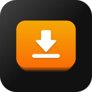 iDownerGo 便携版：多平台视频下载与格式转换工具-山海之花 - 宝藏星球屋