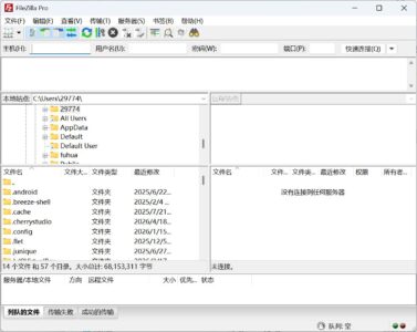 FileZilla Pro v3.70.6 FTP传输客户端-山海之花 - 宝藏星球屋