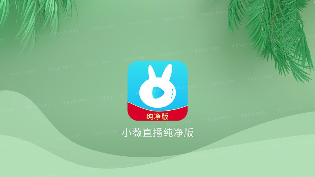 小薇直播 软件截图2