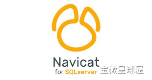 Navicat for SQL Server 17.1.6 Mac中文Mac激活版 软件下载-山海之花 - 宝藏星球屋