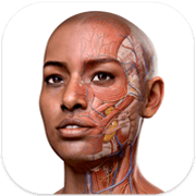 Complete Anatomy 11.0.0 Mac中文Mac激活版 软件下载-山海之花 - 宝藏星球屋