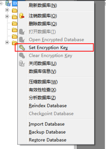 SQLite Expert Professional 数据库管理工具：高效管理-山海之花 - 宝藏星球屋