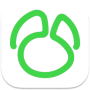 Navicat for MySQL 17.0.9 Mac中文Mac激活版 软件下载-山海之花 - 宝藏星球屋