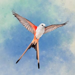 《WINGSPAN (展翅翱翔)》v1.7.941 手机MOD版！以真实鸟类图鉴为卡牌载体，通过四种行动构建栖息地组合，适合桌游玩家与自然爱好者的休闲策略-山海之花 - 宝藏星球屋