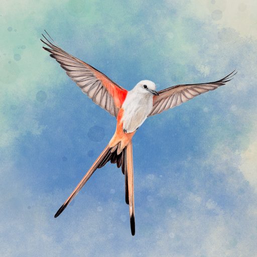 《WINGSPAN (展翅翱翔)》v1.7.941 手机MOD版！以真实鸟类图鉴为卡牌载体，通过四种行动构建栖息地组合，适合桌游玩家与自然爱好者的休闲策略-山海之花 - 宝藏星球屋