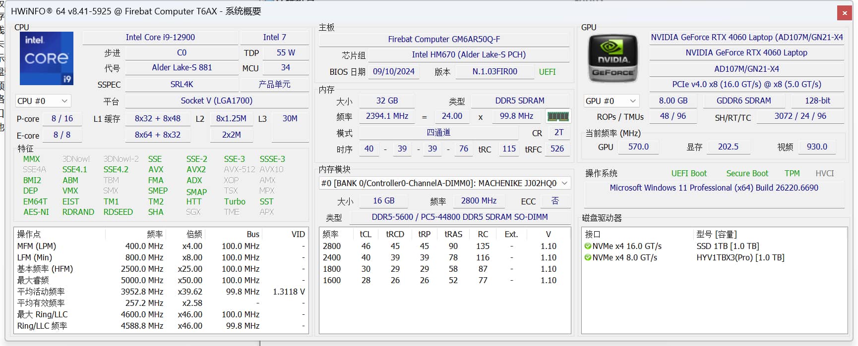 HWiNFO硬件检测工具v8.41.5925绿色版 软件截图1
