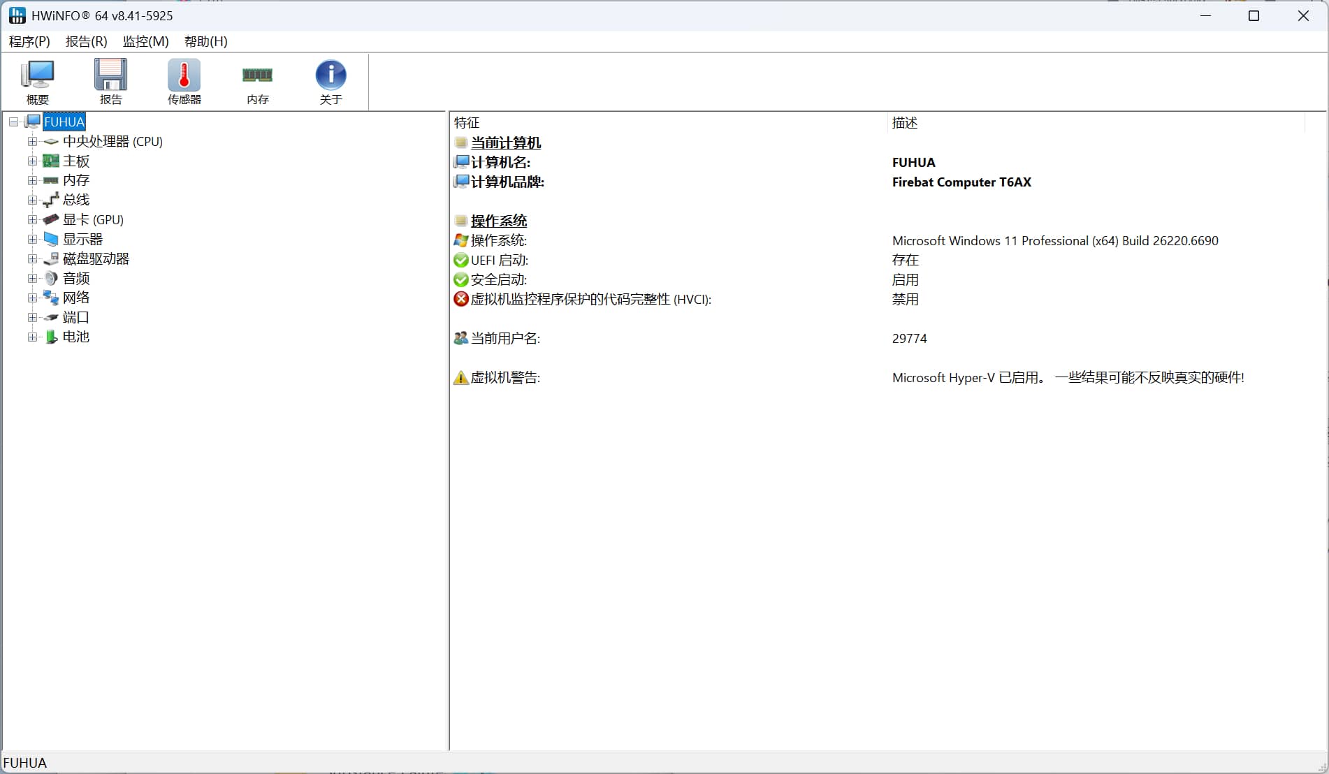 HWiNFO硬件检测工具v8.41.5925绿色版 软件截图2