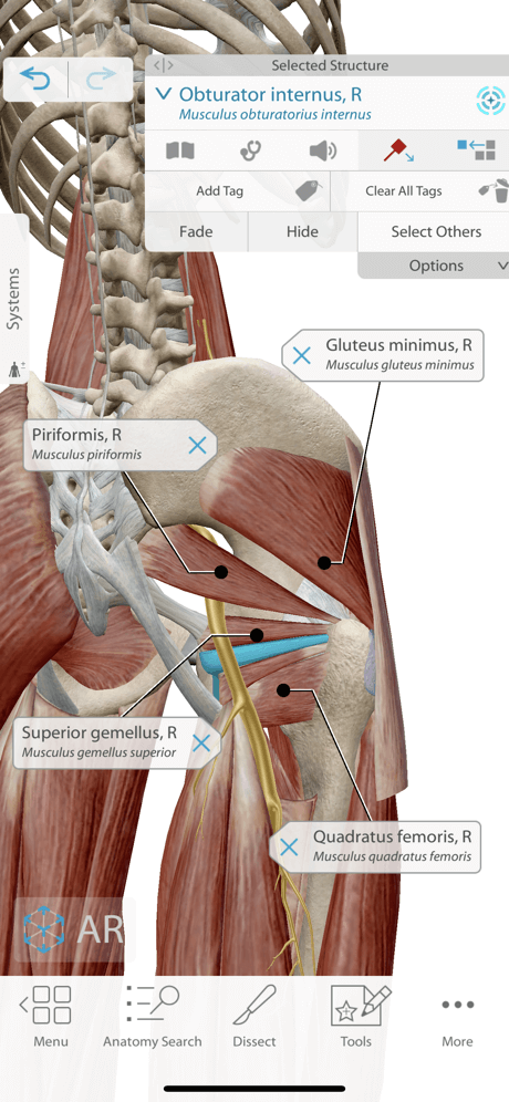 Human Anatomy Atlas 人体解剖学图谱 高级版