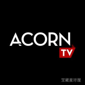 Acorn 8.5.1 Mac 轻量级图像处理软件，轻量化完成图片编辑与图形精细化设计工作-山海之花 - 宝藏星球屋