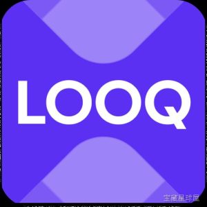 Looq: Preview Files 软件下载-山海之花 - 宝藏星球屋