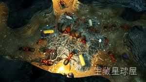 《地下蚁国》即时战略与殖民地管理题材，扮演蚁后指挥蚁群从挖掘巢穴到地表征战逐步成为生态系统霸主，通过划分蚁室、调配工蚁与兵蚁并利用信息素标记部署战术单位，展现微观世界的建造与战斗双重体验。-山海之花 - 宝藏星球屋