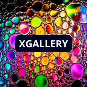 XGallery v2.1.2 离线照片视频管理编辑工具-山海之花 - 宝藏星球屋