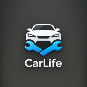 CarLife 车机版 3.0 修改 迷行旅者 v3.10-山海之花 - 宝藏星球屋