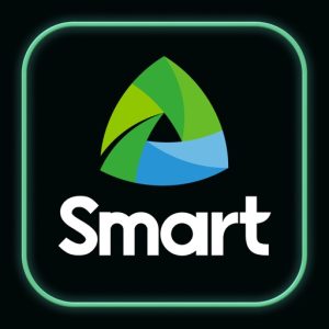 Smart Launcher Pro v6.5.009 智能启动器-山海之花 - 宝藏星球屋