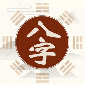 双飞八字排盘 v1.2.1：专业八字命理分析工具-山海之花 - 宝藏星球屋
