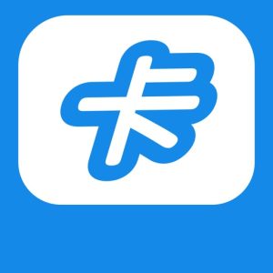KA Music 第三方酷狗概念版：轻量纯净的免费音乐播放器-山海之花 - 宝藏星球屋