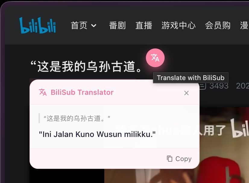BiliSub 实时字幕翻译工具：为 B 站视频自动添加多语言字幕 截图