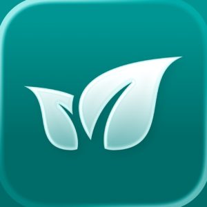 Less Player 开源音乐播放器：打造个性化桌面听歌体验-山海之花 - 宝藏星球屋