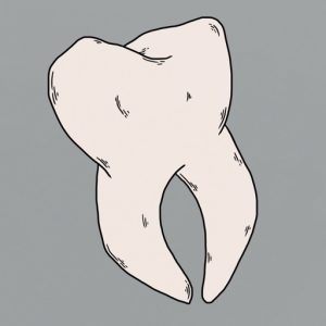 Birth 启动项管理工具：开源整理 macOS 登录项与后台进程-山海之花 - 宝藏星球屋