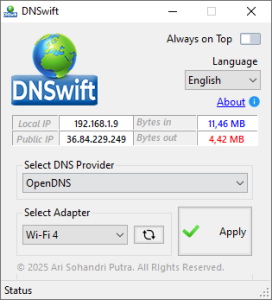 DNSwift DNS切换工具：快速更换DNS服务器改善网络访问体验-山海之花 - 宝藏星球屋