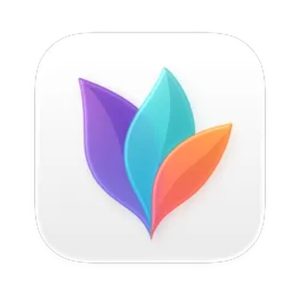 MindNode 2023.4 Mac激活版/ macOS思维导图工具 软件下载-山海之花 - 宝藏星球屋